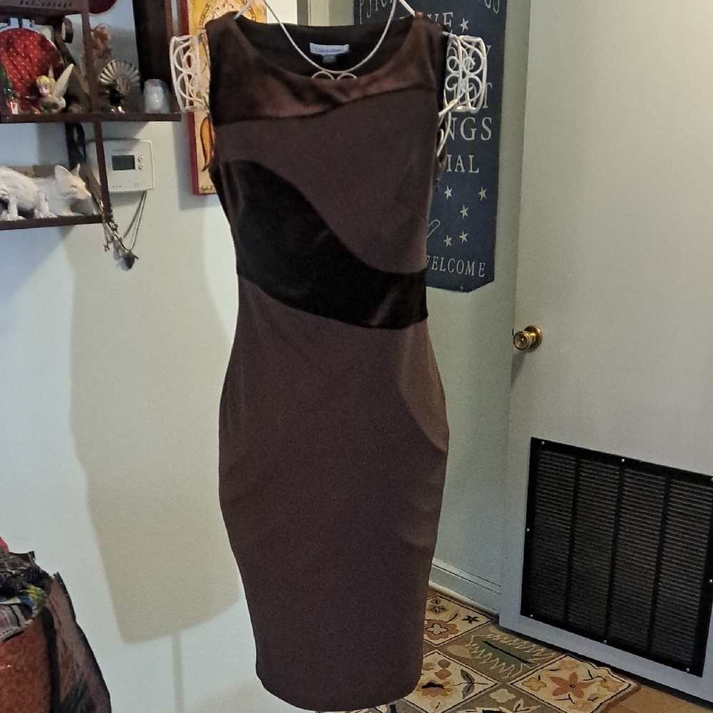 Calvin Klein Chocolate Brown Bodycon Sleevless Dress With Velvet, Sz 2